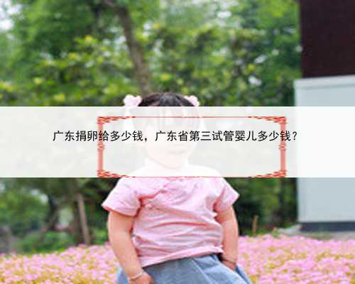 广东捐卵给多少钱，广东省第三试管婴儿多少钱？