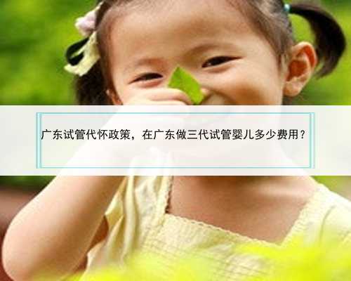 广东试管代怀政策，在广东做三代试管婴儿多少费用？